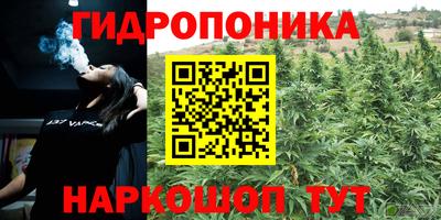 spice Заводоуковск