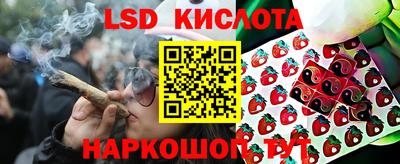 молекула духа Заволжье