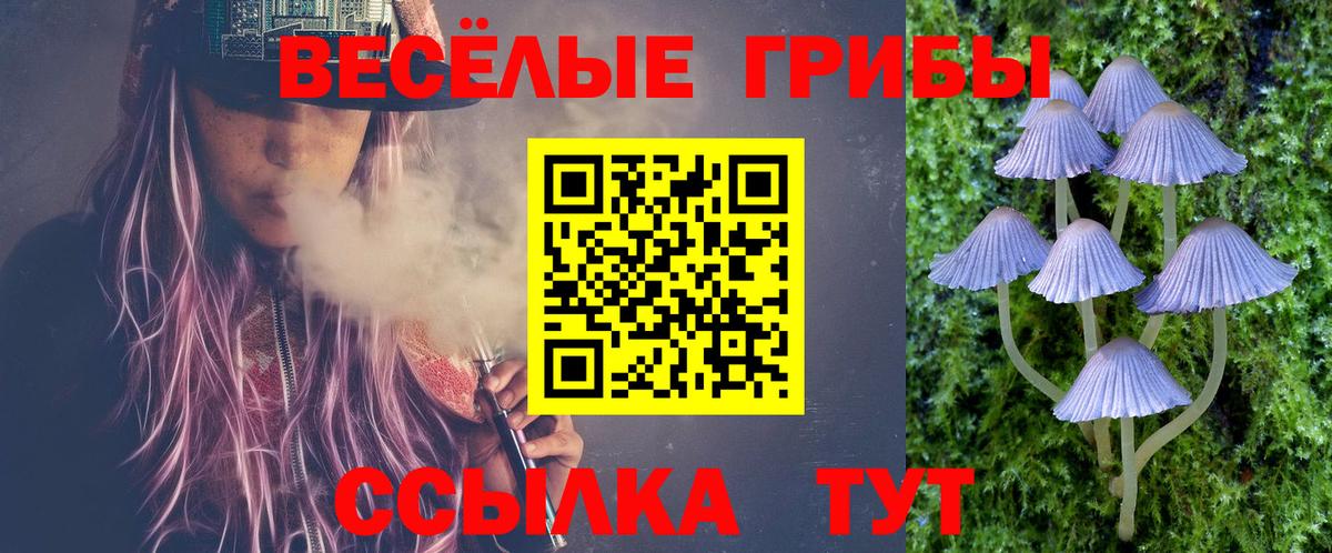 Псилоцибиновые грибы Psilocybine cubensis  Вход с VPN  Лысьва 